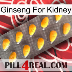 Ginseng For Kidney cialis1